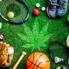 EEUU: buscan eliminar al cannabis como sustancia prohibida en los deportes universitarios