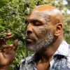 Mike Tyson vuelve a Nueva York para convertirse en un peso pesado del cannabis
