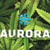 El gigante empresarial Aurora se expande y compra una importante compañía australiana