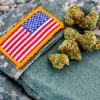 La Marina de EEUU aceptará jóvenes reclutas que fumen cannabis