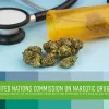 La Comisión de Estupefacientes de la ONU recibirá a usuarios de cannabis medicinal