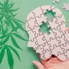 ¿El cannabis afecta la memoria? Un estudio científico asegura lo contrario