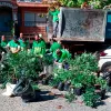 Argentina: una asociación civil denuncia un allanamiento ilegal en su cultivo de cannabis