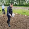 Limpiarán suelos contaminados en Bélgica con el cultivo de cáñamo