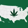 El cannabis es la sustancia con mayor consumo diario en EEUU