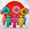 Japón abre una plataforma de participación ciudadana sobre la regulación del cannabis