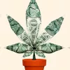 EEUU recaudó más de 18 mil millones de euros en impuestos por el mercado de cannabis para uso adulto