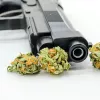 La regulación medicinal de cannabis en Hawái reduce la circulación de armas de fuego