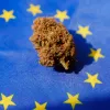 El cannabis es la sustancia preferida en Europa
