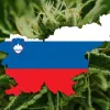 Se viene la legalización del cannabis en Eslovenia