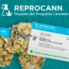 Diputados argentinos le piden al gobierno de Milei que reactive el Registro del Programa de Cannabis