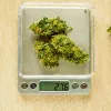 La Justicia absuelve a una persona que trasladaba más de 250 gramos de cannabis