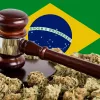Brasil despenalizó la tenencia de cannabis para uso personal