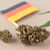 Los clubes de cannabis alemanes no tendrán flores hasta el próximo año
