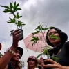 Manifestantes protestan contra la prohibición del cannabis en Tailandia.