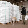 Encontraron 4 mil kilos de cocaína en Paraguay que iban a ser descargados en Bélgica