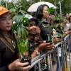 ¿Tailandia abandona el plan para volver a prohibir el uso recreativo del cannabis?