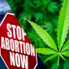 Cannabis y aborto: dos asuntos claves en las próximas elecciones de EEUU