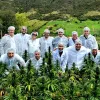 Una empresa latinoamericana de cannabis invierte 2 millones de dólares en la elaboración de alimentos con inteligencia artificial