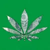 EEUU recaudó más de 7 mil millones de euros en impuestos a la industria del cannabis