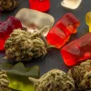 El gigante mundial Canopy Growth se expande en el mercado de cannabis de EEUU