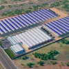Pharmaweed comenzó los trámites para construir su fábrica de cannabis en Extremadura