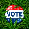 Elecciones en EEUU: ¿qué estados votarán la despenalización del cannabis?