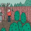 La cosecha perfecta en diez pasos: consejos y trucos de experto