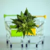 Casi el 60% de los alemanes quiere que comiencen las ventas de cannabis