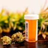 El proyecto de regulación medicinal de Sanidad se encuentra “en su última fase de verificación”