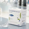 Marruecos presentó su primer aceite medicinal de cannabis
