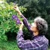 La alternativa vegetal de Luis Otero