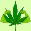 El cannabis promueve la actividad física