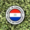 Paraguay exportará 4 toneladas de flores de cannabis a Suiza