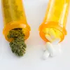 El cannabis es más eficaz que los analgésicos para tratar el dolor crónico