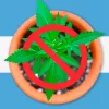 El gobierno de Javier Milei anunció que eliminará el acceso al cannabis medicinal de Argentina