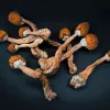 La psilocibina es eficaz para tratar el consumo problemático de metanfetaminas