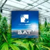 Cada vez más tabacaleras invierten en la industria del cannabis Abierta Redacción opciones de configuración