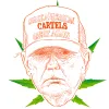 Trump y los cárteles de la droga 