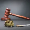 Absuelven al presidente de un Club Social de Cannabis de Tenerife