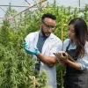 El estado de Nueva York y sindicatos capacitarán a los trabajadores de la industria del cannabis