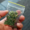 En Brasil, un usuario de cannabis denunció a un traficante por estafa