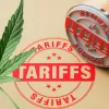 Israel pretende aumentar un 165% los aranceles al cannabis importado de Canadá
