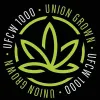 Trabajadores del cannabis se sindicalizan en Nueva Jersey