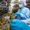 Torreal recupera el control de Linneo Health tras nuevas inyecciones de capital