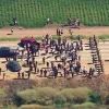 Protestas y violencia tras redadas de ICE en granjas de cannabis en California