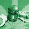 California celebró 50 años de despenalización del cannabis