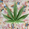 El cannabis legal aportó más de 9.200 millones de dólares al PIB de Canadá