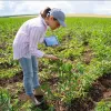 ¿La Generación Z está reinventando el cultivo de cannabis?