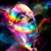 ¿De qué hablamos cuando hablamos de riesgo psicodélico?